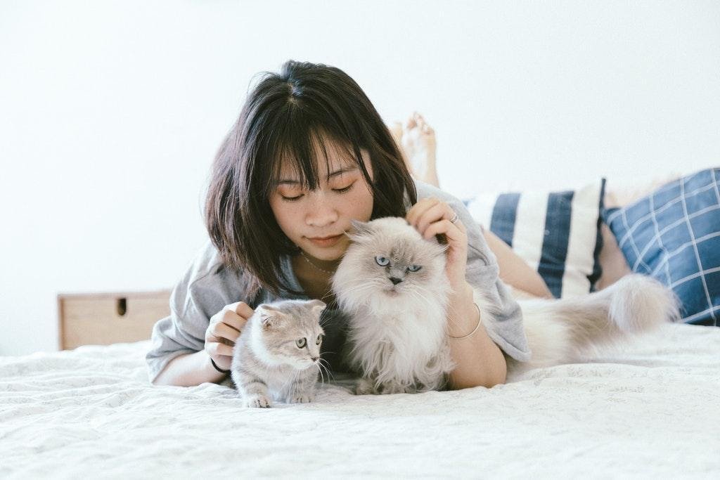 Spending Time with Animals